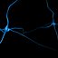 Synapse02