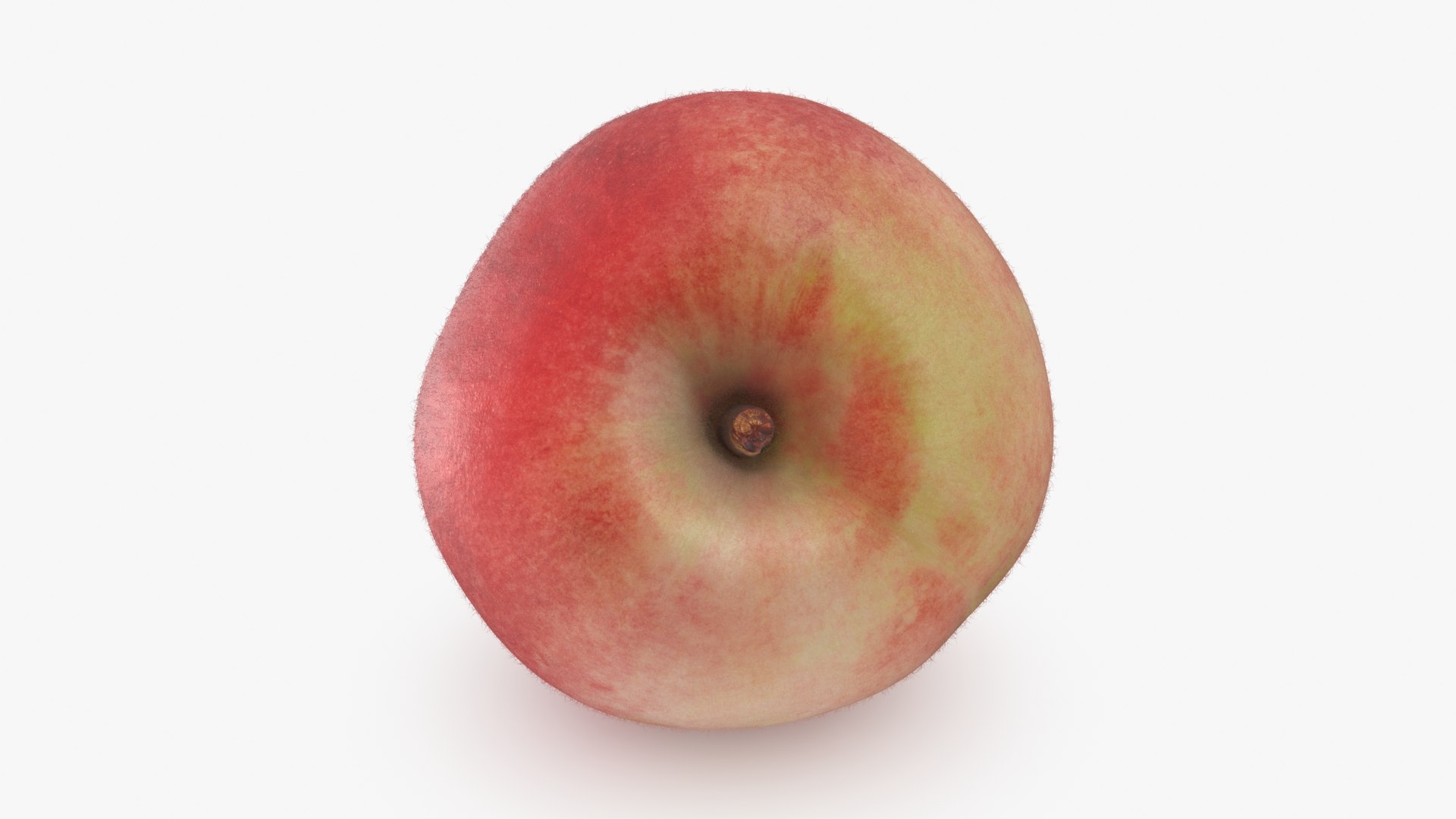 3D model Peach 02 https://p.turbosquid.com/ts-thumb/g1/PQbm0x/c9/peach02_b0012/jpg/1725247102/1920x1080/fit_q87/463c13ced2f9d0eb809a5f0ef4c044aff51ee1d8/peach02_b0012.jpg