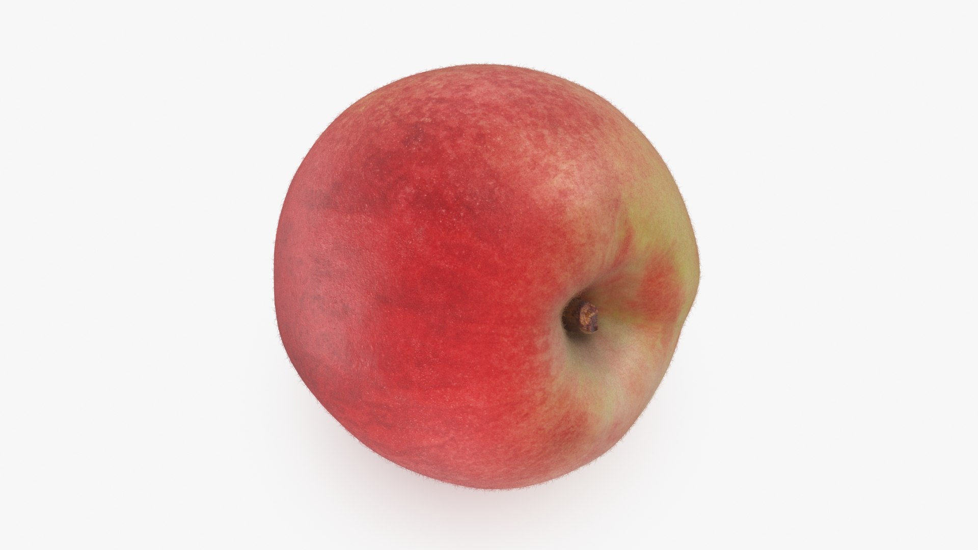 3D model Peach 02 https://p.turbosquid.com/ts-thumb/g1/PQbm0x/go/peach02_b0016/jpg/1725247108/1920x1080/fit_q87/c141b7de24cf455135976a23c7112e6378934226/peach02_b0016.jpg