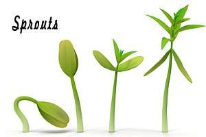 3d sprouts