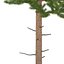 pine 3d model