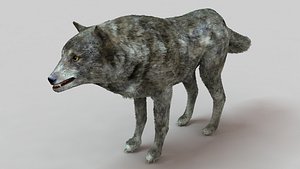 wolf hairs fur 3D model