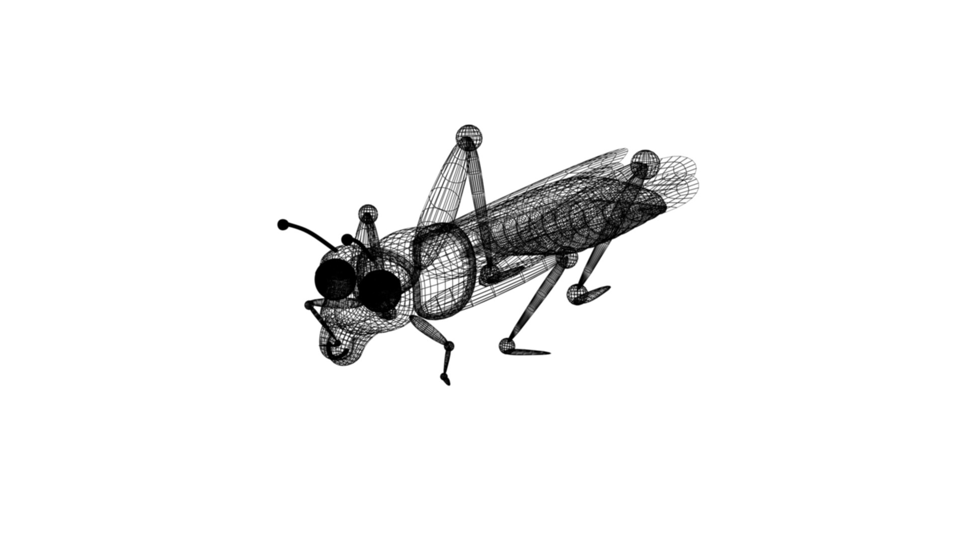 Grass Hopper 3D model https://p.turbosquid.com/ts-thumb/g1/rQyHA7/1Z/wire/jpg/1674033285/1920x1080/fit_q87/2de4ba15971c41034d97e7b41d06c68199eb9892/wire.jpg