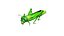 Grass Hopper