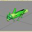 Grass Hopper