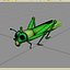 Grass Hopper