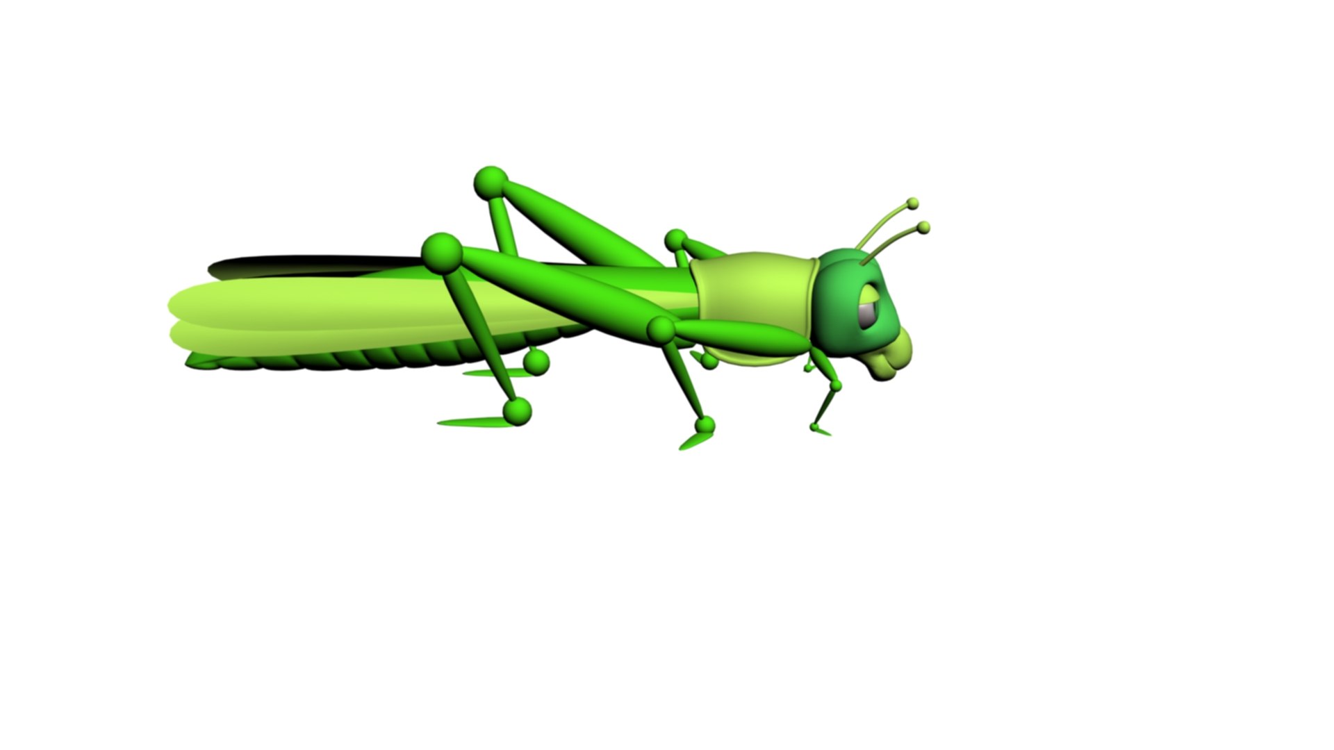 Grass Hopper 3D Model - TurboSquid 2015759