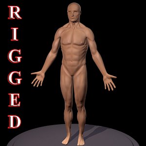 3d model human male body