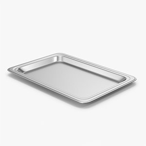 3D Silver Tray model