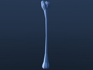 Bone Lightwave Models for Download | TurboSquid