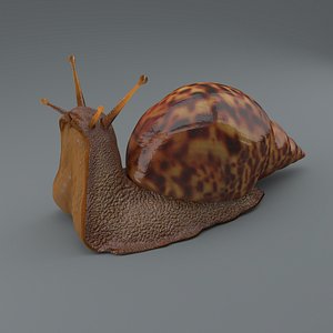 snail 3d obj