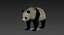 3D giant panda fur rigged
