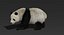 3D giant panda fur rigged