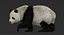3D giant panda fur rigged