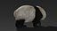 3D giant panda fur rigged
