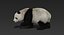 3D giant panda fur rigged