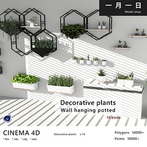 3D Decorative Plants Wall hanging potted