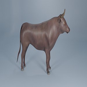 3D Bull model