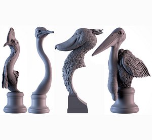Exotic Bird Head 3D model