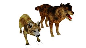 Rigged Wild Wolf Arctic Fox Wildlife Character Pack Game-Ready 3D Animals 4K PBR