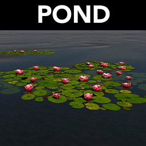 3D water pond lily pads model