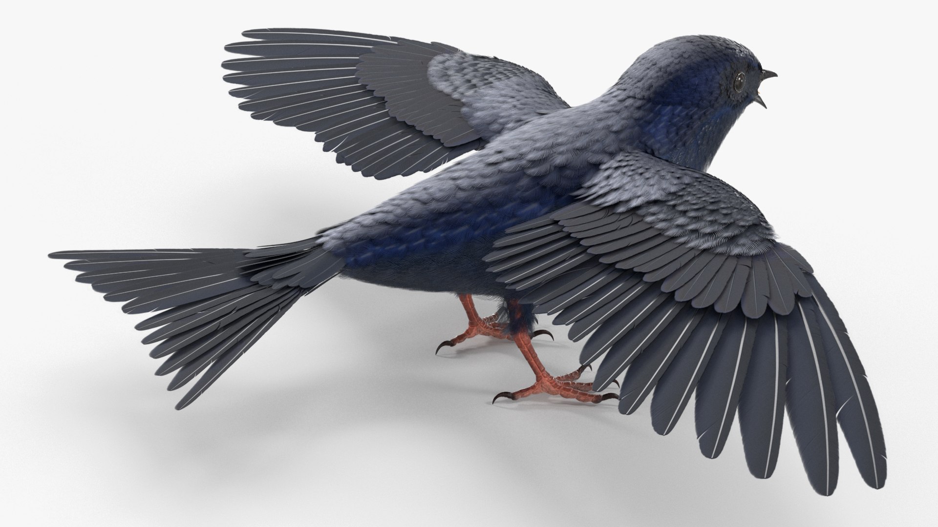 Purple Martin Bird Rigged for Cinema 4D model https://p.turbosquid.com/ts-thumb/g2/lx5yUK/JU/purple_martin_bird_rigged_006/jpg/1758781600/1920x1080/fit_q87/c8fd16e50f4c6026161754cde76c10aa518df897/purple_martin_bird_rigged_006.jpg