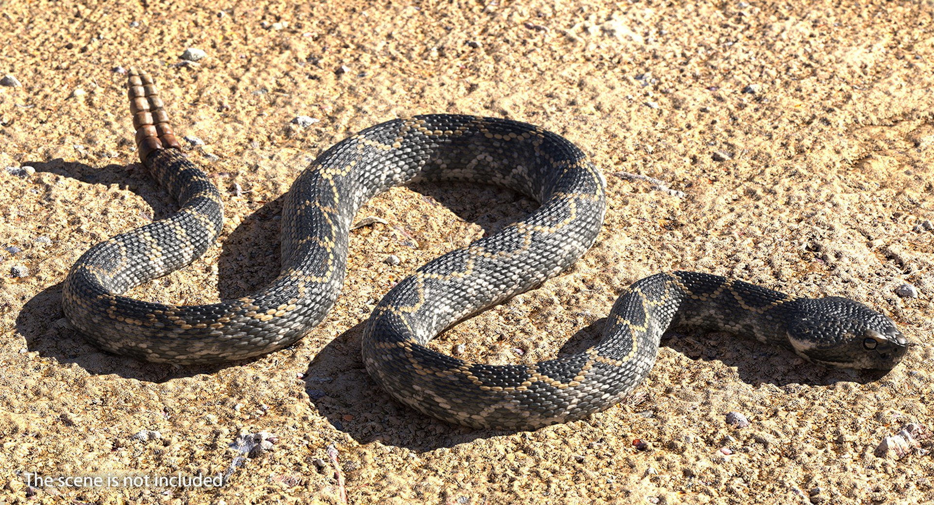 3D Dark Rattlesnake Crawling Pose - TurboSquid 1398398