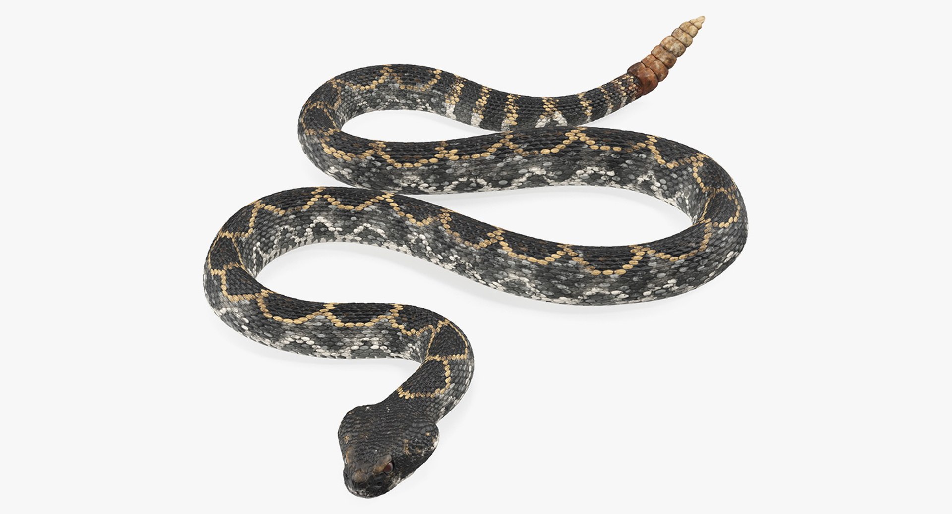 Dark Rattlesnake Crawling Pose 3D model preview