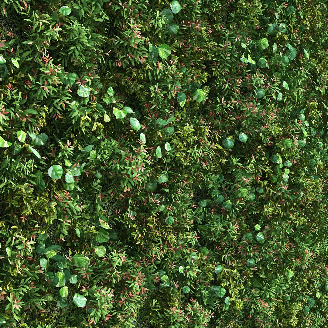 plant epipremnum aureum 3D model https://p.turbosquid.com/ts-thumb/g2/u8HygW/JBfK8HQe/vernoniaelliptica_03/jpg/1498176169/1920x1080/fit_q87/aac49cc931ec88b7e511a2c22f528b7b307e637d/vernoniaelliptica_03.jpg