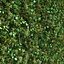 vertical garden 14