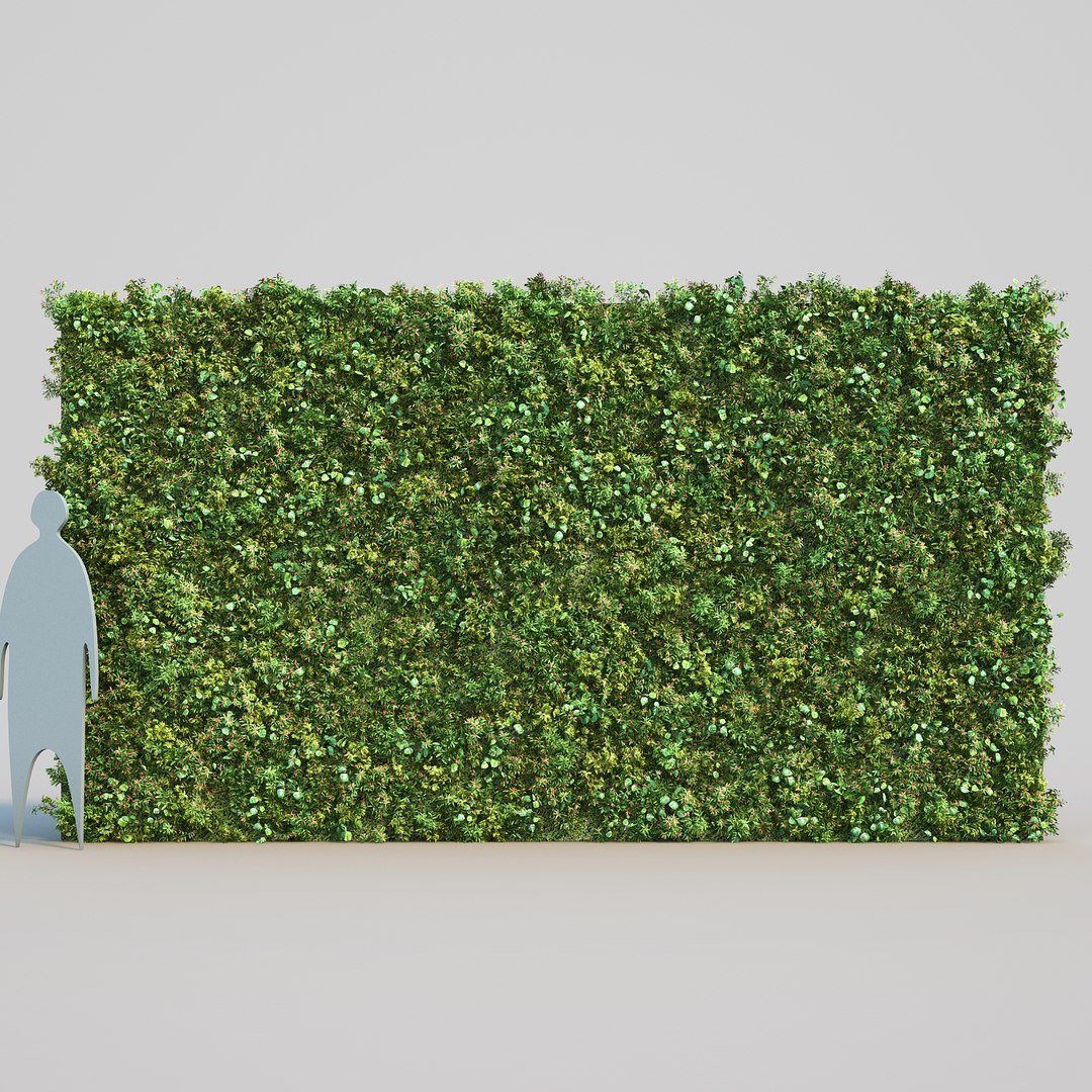 plant epipremnum aureum 3D model https://p.turbosquid.com/ts-thumb/g2/u8HygW/YhOrx03S/vernoniaelliptica_01/jpg/1498176169/1920x1080/fit_q87/694581a690b1b48620b4351a73e92b7a9b59b3bb/vernoniaelliptica_01.jpg