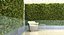 vertical garden 14
