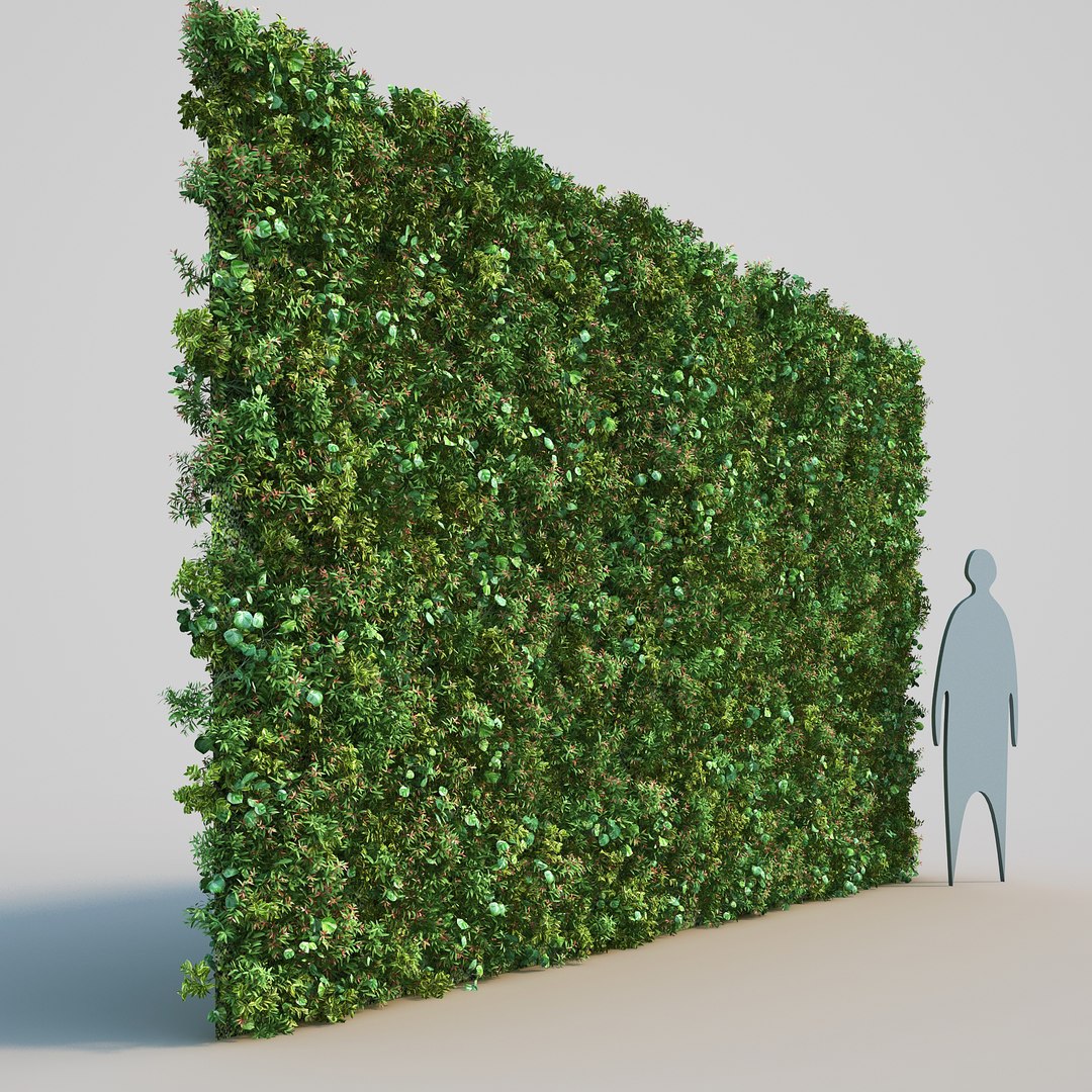 plant epipremnum aureum 3D model https://p.turbosquid.com/ts-thumb/g2/u8HygW/mHghJJoV/vernoniaelliptica_02/jpg/1498176169/1920x1080/fit_q87/c3d4d602162d5c7d2c482ebd138d3997dbec9bd0/vernoniaelliptica_02.jpg