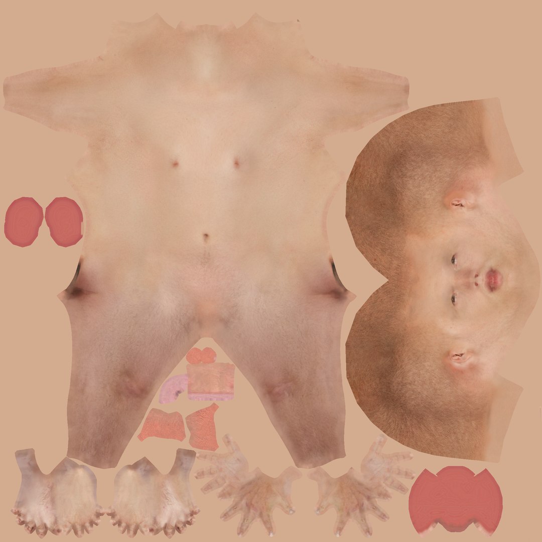 3D realistic human body 25 https://p.turbosquid.com/ts-thumb/g3/IGh8EC/6spB3QQf/asimbdy/png/1520045812/1920x1080/fit_q87/2eaf4c4a1e2e49b5ea11bd24c2393a8c512d8126/asimbdy.jpg
