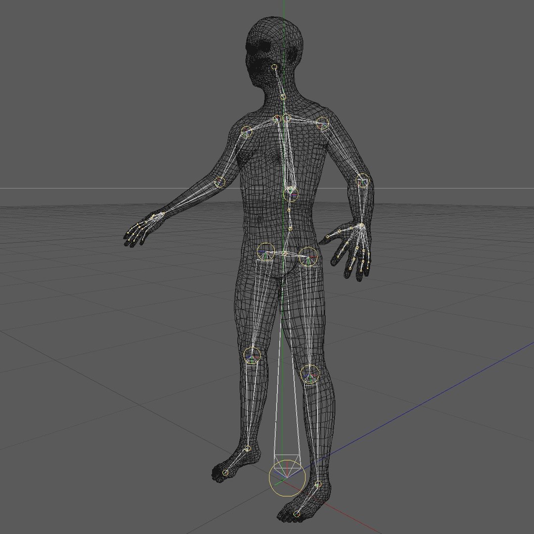 3D realistic human body 25 https://p.turbosquid.com/ts-thumb/g3/IGh8EC/VnWGC1OJ/25yroldasianman20/jpg/1520045758/1920x1080/fit_q87/559504caa8715a6f791e4cddbaf974abd2fe2a06/25yroldasianman20.jpg