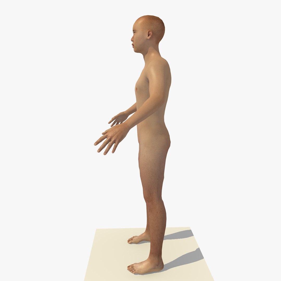 3D realistic human body 25 https://p.turbosquid.com/ts-thumb/g3/IGh8EC/iJp4zqVs/25yroldasianman3/jpg/1520045758/1920x1080/fit_q87/8a898f1da0b2c6bd9c5220c0c7f74ddc89687e22/25yroldasianman3.jpg