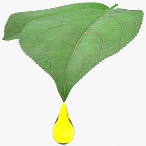 3D model oil drop leaf