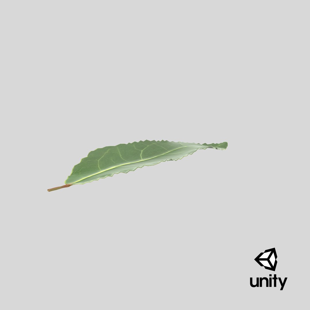 3D fresh laurel leaf https://p.turbosquid.com/ts-thumb/g3/QYcbRj/4Q/stemcell_unity_render/png/1644825340/1920x1080/fit_q87/31febbc5f243c079d54d885ca7bea94038bf6f86/stemcell_unity_render.jpg