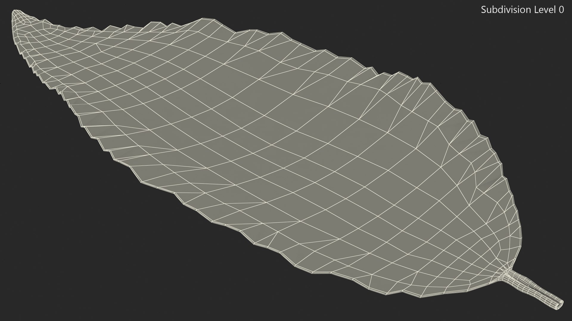3D fresh laurel leaf https://p.turbosquid.com/ts-thumb/g3/QYcbRj/6X/freshlaurelleafvray3dmodel011/jpg/1612030064/1920x1080/fit_q87/a77094288d7c1f8dd07066035ddc9c46d362a13c/freshlaurelleafvray3dmodel011.jpg
