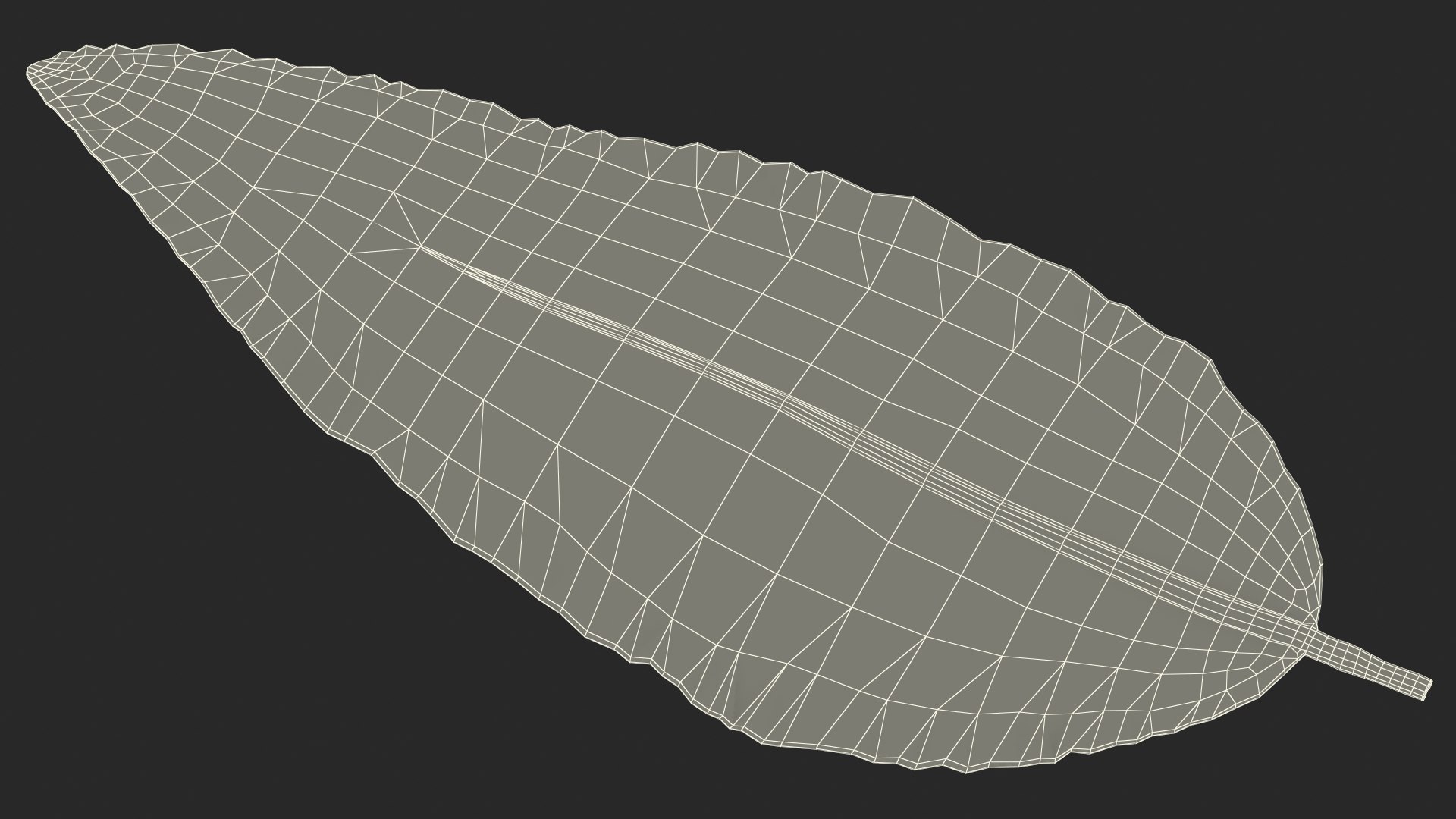3D fresh laurel leaf https://p.turbosquid.com/ts-thumb/g3/QYcbRj/9f/freshlaurelleafvray3dmodel017/jpg/1612030080/1920x1080/fit_q87/406b35165334c5031f2ac1bebb78a067f5b9dfd1/freshlaurelleafvray3dmodel017.jpg