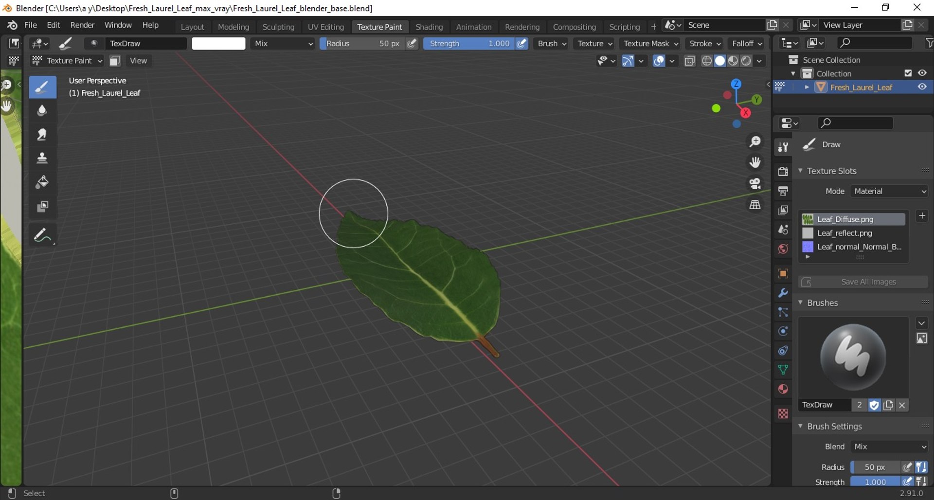 3D fresh laurel leaf https://p.turbosquid.com/ts-thumb/g3/QYcbRj/AV/freshlaurelleafvray3dmodel023/jpg/1612030089/1920x1080/fit_q87/4af78b17d838aa179e61399cb3f3e033506903ed/freshlaurelleafvray3dmodel023.jpg