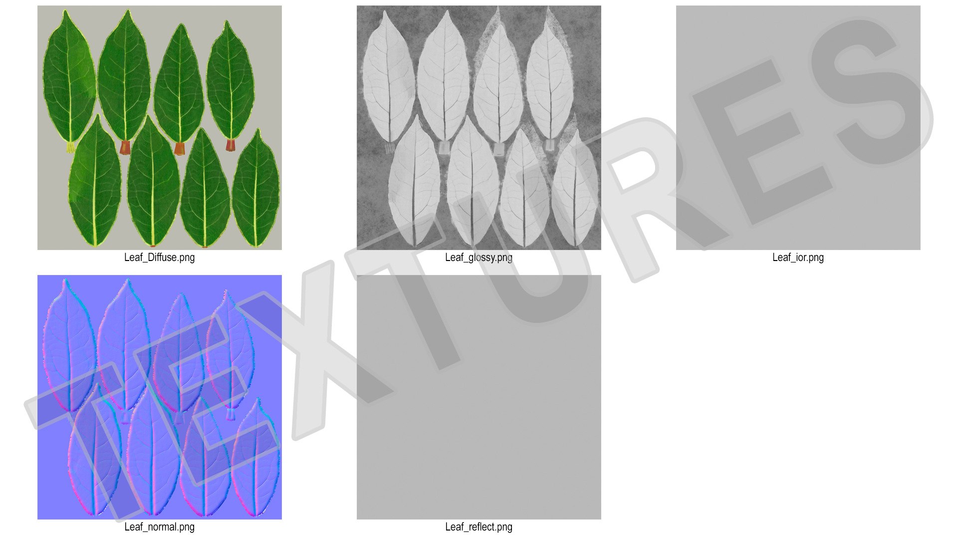 3D fresh laurel leaf https://p.turbosquid.com/ts-thumb/g3/QYcbRj/Lf/freshlaurelleafvray3dmodel014/jpg/1612030072/1920x1080/fit_q87/ca97cc53dc1daed0498d9da9761c3bff4c13d91f/freshlaurelleafvray3dmodel014.jpg