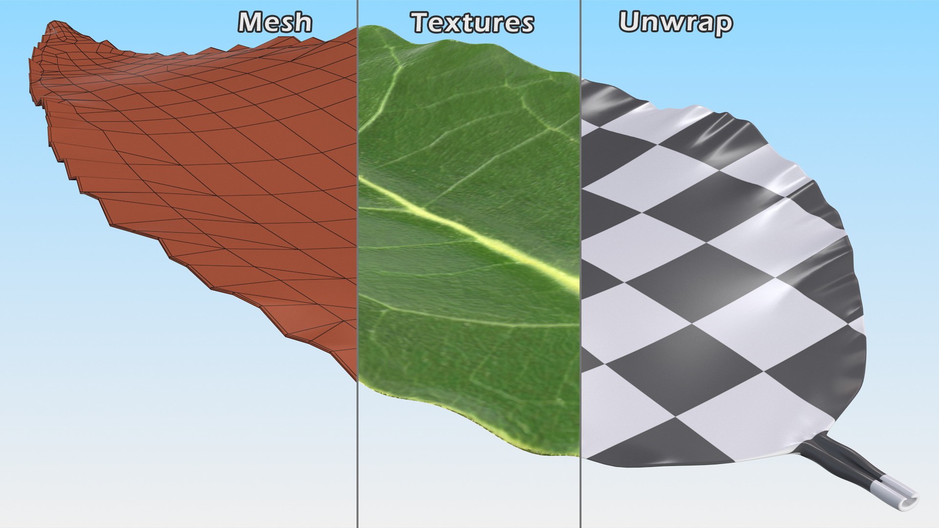3D fresh laurel leaf https://p.turbosquid.com/ts-thumb/g3/QYcbRj/RU/freshlaurelleafvray3dmodel010/jpg/1612030061/1920x1080/fit_q87/d46ae6e22bd9ee2c004679efc5f1d9c64b742e4f/freshlaurelleafvray3dmodel010.jpg
