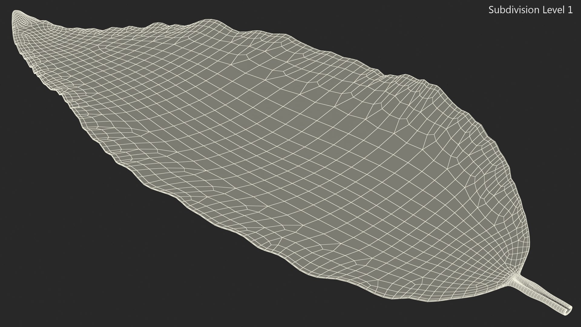 3D fresh laurel leaf https://p.turbosquid.com/ts-thumb/g3/QYcbRj/Y5/freshlaurelleafvray3dmodel012/jpg/1612030066/1920x1080/fit_q87/c4dcd42c4a1379bc7559cb7a98c74f1221844758/freshlaurelleafvray3dmodel012.jpg