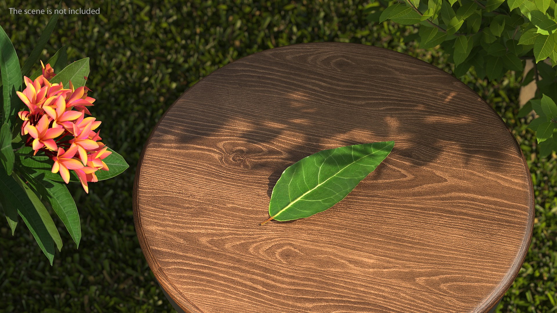 3D fresh laurel leaf https://p.turbosquid.com/ts-thumb/g3/QYcbRj/zp/freshlaurelleafvray3dmodel002/jpg/1612030033/1920x1080/fit_q87/8cbce3a4b6678ba01e076f8f776e647759bd2dfd/freshlaurelleafvray3dmodel002.jpg