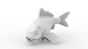 Koi Fish 3D Print Model 3D model