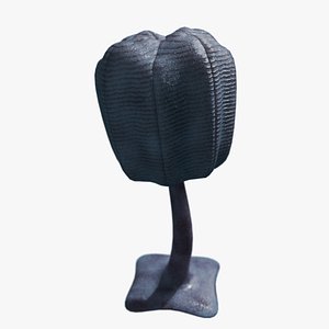 3D Siphusauctum model