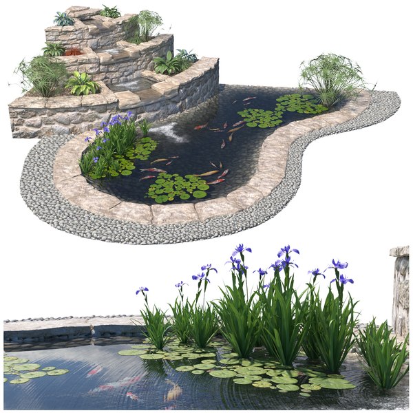 Pond 3d Models For Download Turbosquid