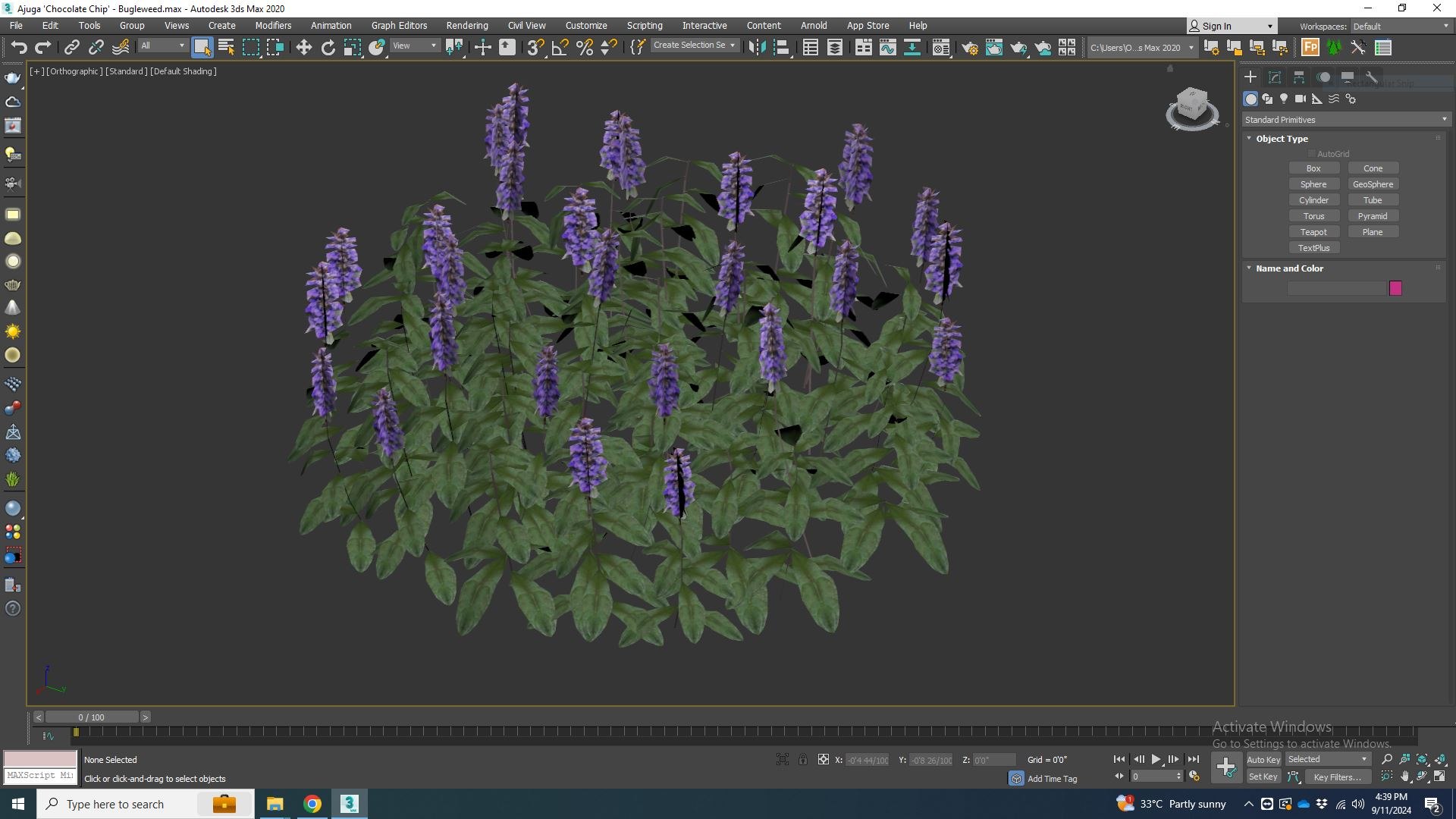 Ajuga Chocolate Chip  Bugleweed 3D model https://p.turbosquid.com/ts-thumb/g3/btRF1m/kQ/ajugachocolatechipbugleweedmaxview/jpg/1726057305/1920x1080/fit_q87/f6aa9fbec9c20da2aba1b4dd21f9057040d0f42b/ajugachocolatechipbugleweedmaxview.jpg