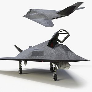 Combat Stealth Fighter Jet Rigged 3D model